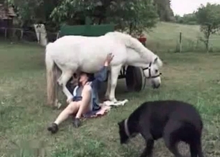 Horse gets the best BJ ever