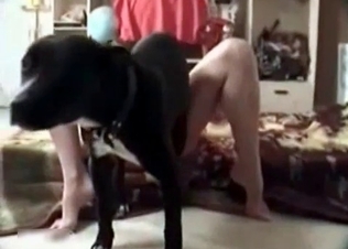 Aroused hound gets what it wants