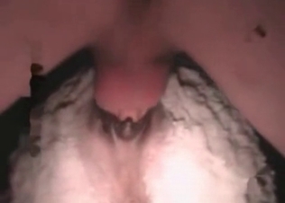 Horse’s anal hole drilled