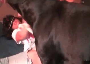 Dog gets to experience anal
