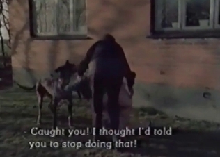Pig getting fucked like a total slut