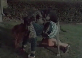 Pig getting fucked like a total slut