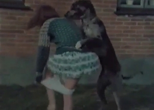 Pig getting fucked like a total slut