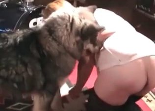 Husky drilling her tight holes