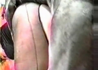 Black dog gets that pussy