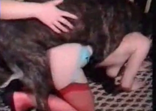 Stacked sluts fucking animals