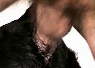 Tight asshole stretched out by a hard cock