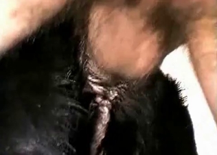 Tight asshole stretched out by a hard cock