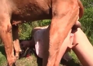 Dog gets stuck in her welcoming pussy