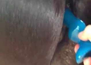 Horse gets pleasured anally