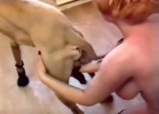 Dog gets to fuck its hot owner