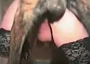 Animalistic action in HQ