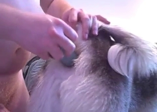 Dildo fuck for a lusty dog