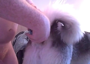 Dildo fuck for a lusty dog