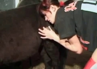 Depraved pony and its lust