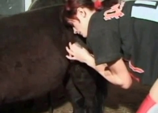 Depraved pony and its lust