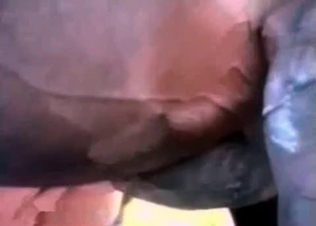 Massive horse with a massive cock