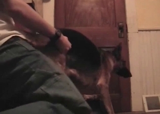 Anal pleasure for a pooch