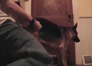 Anal pleasure for a pooch