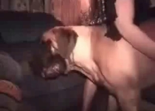Animalistic fucking with a tight slut