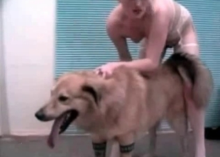 Kinky zoophilic sluts for a hot dog