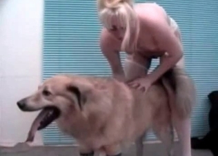 Kinky zoophilic sluts for a hot dog