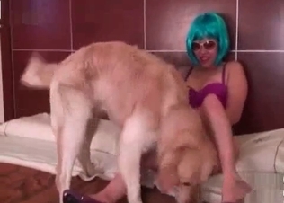 Retriever gets its sexy on