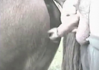 Farm animal sex in all its glory