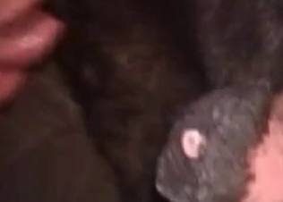 Chubby zoophile’s sensual blowjob