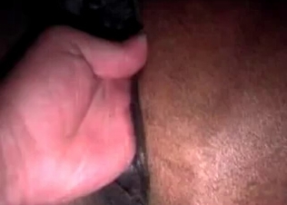 Filthy dude banging his horse
