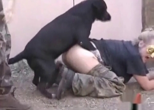 Phat booty for a horny dog