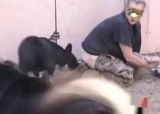 Phat booty for a horny dog