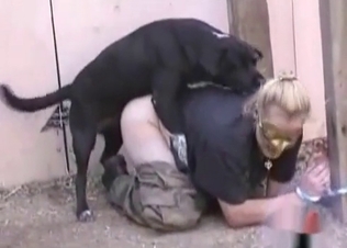 Phat booty for a horny dog