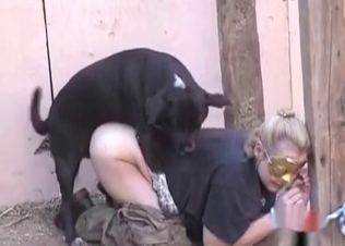 Phat booty for a horny dog