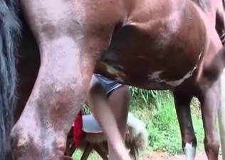 Blonde slut and her brown mare