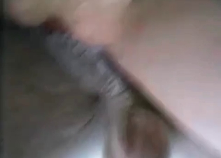 XXX clip with the dirtiest animal sex