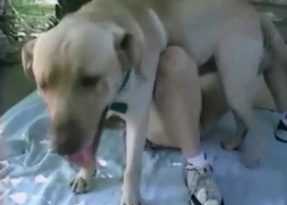 XXX clip with the dirtiest animal sex