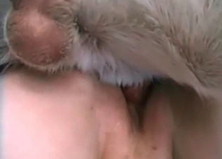 XXX clip with the dirtiest animal sex