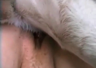 XXX clip with the dirtiest animal sex