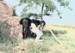 Pony loves getting blowjobs