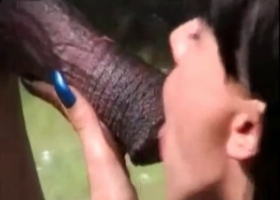 Horse cock gets orally serviced by her hot lips