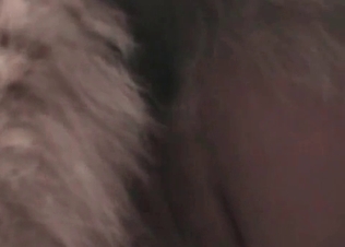 Hot MILFs love animals too much