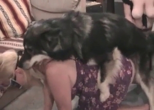 Hot MILFs love animals too much