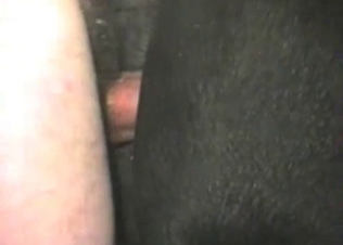 Mongrel gets railed by a dude