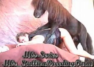 She loves fucking ponies