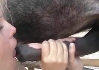 Horse cum tastes so good to her