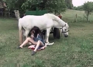 Horse gets the best BJ ever