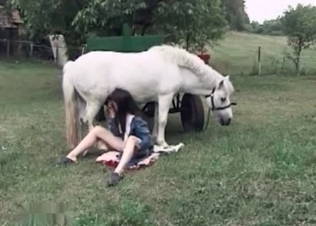 Horse gets the best BJ ever