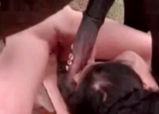 Mare’s cock pleasured orally