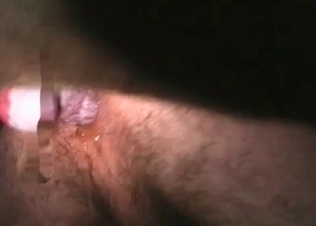 Fucking that slutty doggy